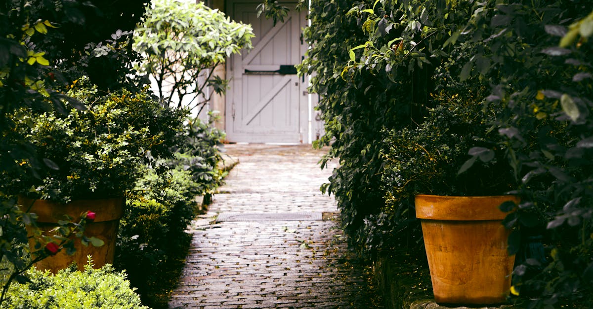 Versatility in Landscape Design with Granite Cobblestone Pavers